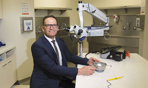 Hearing loss cost still background noise